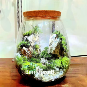 ZenScape™ Glass Garden – Your Personal Portal to Tranquility & Nature’s Serenity!