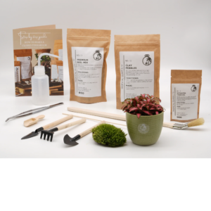 Top Landing Page Image
