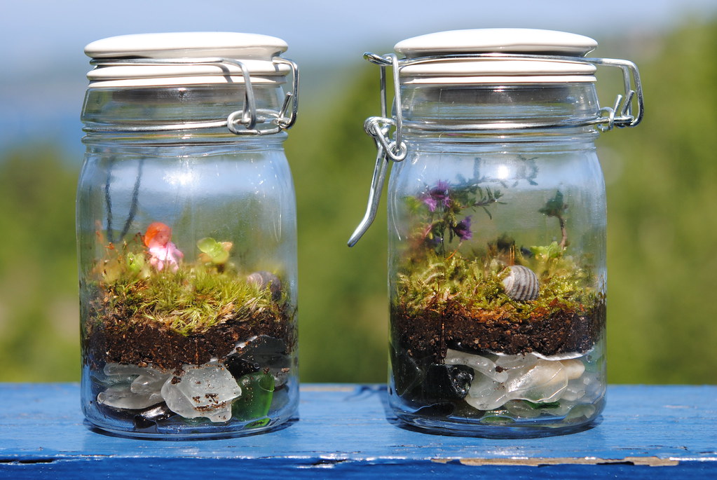 Terrarium
